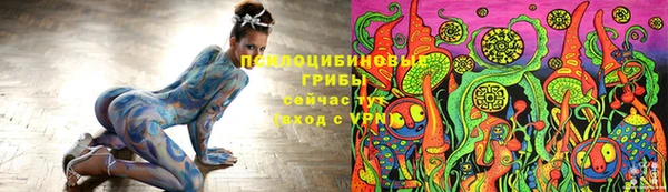 кокс Богородицк