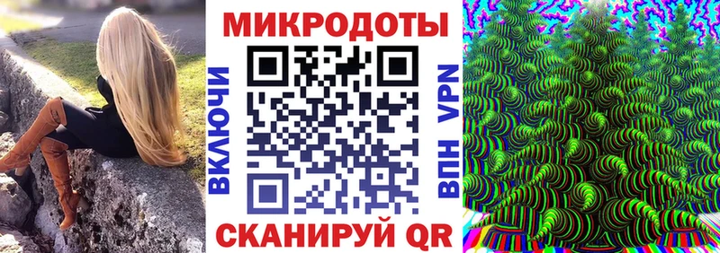 Псилоцибиновые грибы Psilocybine cubensis где можно купить наркотик Губкинский